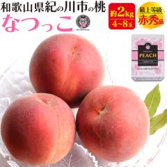 �y�\��F8����{���`�o�ׁz �����p ���n�� �Ȃ��� ��2kg(4�`8��) �a�̎R���Y �t���[�c �ŏ㓙�� �ԏG�i ���� ������ �M�t�g ��j �t��
