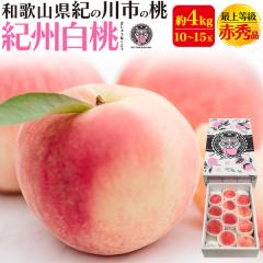 �y�\��F7�����{���`�o�ׁz �����p �\�� ���n�� �I�B���� ��4kg(10�`15��) �a�̎R���Y �t���[�c �ŏ㓙�� �ԏG�i ���� ������ �M�t�g ��