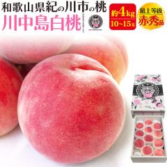 �y�\��F8����{���`�o�ׁz  �쒆������ ��4kg(10�`15��)  �����p ���n�� �a�̎R���Y �t���[�c �ӂ�[�ӂ��[�ނ킩��� �ŏ㓙�� �ԏG