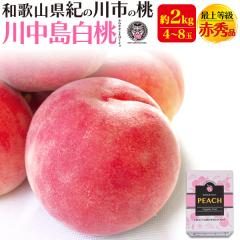 �y�\��F8����{���`�o�ׁz  �쒆������ ��2kg(4�`8��)  �����p ���n�� �a�̎R���Y �t���[�c �ӂ�[�ӂ��[�ނ킩��� �ŏ㓙�� �ԏG�i 