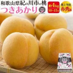 �y�\��F7�����{���`�o�ׁz �����p ���n�� �u��������v��4kg(10�`15��) �a�̎R���Y �ŏ㓙�� �ԏG�i �Y�n���� ���I ���� ������ �M�t