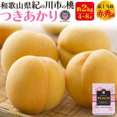 �y�\��F7�����{���`�o�ׁz �����p ���n�� �u��������v��2kg(4�`8��) �a�̎R���Y �ŏ㓙�� �ԏG�i �Y�n���� ���I ���� ������ �M�t�g 