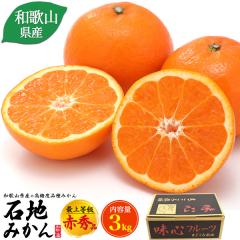 �݂���y12�����{�o�ׁz�a�̎R���Y �Βn�݂��� 3kg 30�`36�� �ԏG�i �~�J�� �������݂��� �C�V�W�~�J�� �Â� �����p ������p �M�t�g 