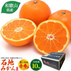 �݂���y12�����{�o�ׁz�a�̎R���Y �Βn�݂��� 10kg 100�`115�� �ԏG�i �~�J�� �������݂��� �C�V�W�~�J�� �Â� �����p ������p �M�t