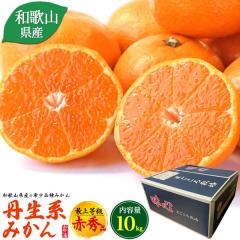 �݂���y1�����`2����{�o�ׁz�a�̎R���Y �O���n�݂��� 10kg 100�`115�� �ԏG�i �~�J�� �ɂイ�����݂��� �j���E�P�C�~�J�� �Â� ����