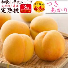�y�\��F7�����{���`�o�ׁz �����p �� �a�̎R���Y ���n�� �������� �ŏ㓙�� �ԏG ��3kg 9�`12�� �������� �t���[�c ���� ������ �ʕ� 