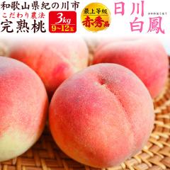 �y�\��F6�������`�o�ׁz �����p �� �a�̎R���Y �I�̐�s �������_�@ ���n�� �u���씒�P�v �ŏ㓙�� �ԏG ��3kg 9�`12�� �������� �t��