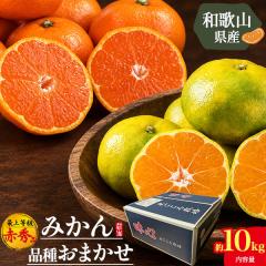 �݂��� �\�� 11�����{�����o�ח\�� ��10kg �a�̎R���Y �i�킨�܂��� �ŏ㋉ �ԏG�i �Y�n���� �{�݂̂�������͂� ���Y �t���[�c ���� 