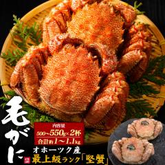 �уK�j �p 2�t�i��500�`550g�~2�j�k�C�� �I�z�[�c�N�Y �ō��� ���I 1�`1.1kg �a���� �L�O�� ���j�� ���j �n���̓� �O���� �{�C���ς� ��