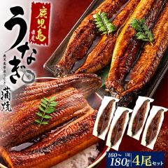 �H�M�t�g �L�����Ȃ� ���Ă� ���Y���Ȃ� 160g�`180g�~4�� ���������Y ���Ȃ��̊��� �y�p�N�̓� �ǂ悤�N�̓� �y�p�̉N�̓� �^���t�� �E�i
