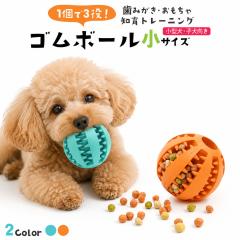 �m��ߋ� �S���{�[�� ���T�C�Y �m��g���[�j���O �y�b�g�p �{�[�� ���^�� �q���p �V�R�S���� �ߋ� ���ʗp �������� ���݂��� ���H���h�~ 