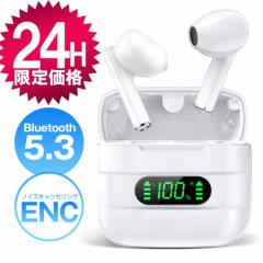 y24H艿iz CXCz Bluetooth 5.3 ^ y Bluetooth Cz ENCmCYLZO HiFi AAC/SBCΉ 