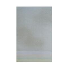 �V���� ���� ���� 5�F�Z�b�g �S���� 25�� AG54-3 |b03