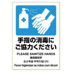 �q�T�S �͂�����!�s�^�����O�X�e�b�J�[ ��w�̏��łɂ����͂������� A4 1�� KLS086 |b03