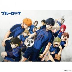 �W�O�\�[�p�Y�� 500�s�[�X TV�A�j���u�u���[���b�N�v ���E��̃X�g���C�J�[�͉��� 500-518 |b03