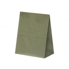 �n�C�o�b�O H300 ���F���f 100�� XZK00469 |b03