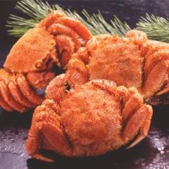 【北海道産】ボイル毛ガニ姿(約500g×3尾)