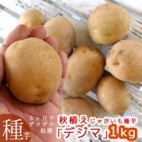 春のじゃがいも 種芋 特集 花うるる 花でうるおう毎日 Au Pay マーケット