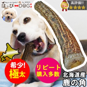 はっぴーDOG!! au PAY マーケット店のネットショッピング・通販はau PAY マーケット