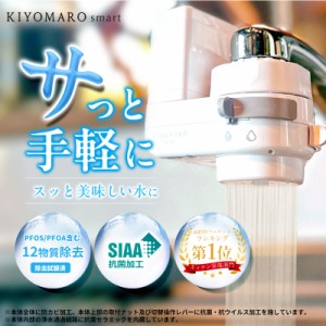 浄水器のダイト薬品 au PAY マーケット店のネットショッピング 浄水器のダイト薬品 au PAY マーケット店のネットショッピング