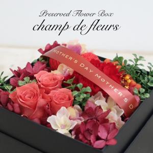 神戸花物語のネットショッピング 通販はau Pay マーケット