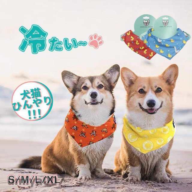 犬 ひんやり グッズ ショップ 人気