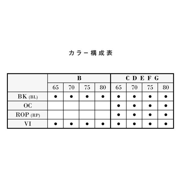 ブラジャーのみ 大きいサイズ 30％OFF 送料無料 ワコール Wacoal