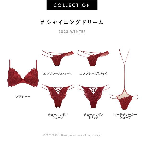 ショーツ レディース パンツ 下着 女性 メール便(7) ラヴィジュール RAVIJOUR シャイニングドリーム コードチョーカー チーキー SM  バッの通販はau PAY マーケット - SHIROHATO(白鳩)｜プレミアムマーク掲載商品送料無料 | au PAY マーケット－通販サイト