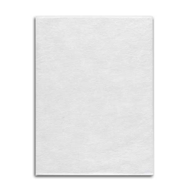 【直送／代引不可】Nノンパピエバッグ 29-40 不織布袋 700枚の通販は 16,360円