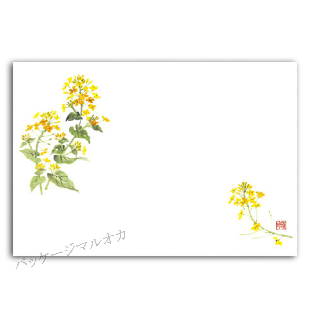 尺五テーブルマット No.1266 菜の花 2月〜4月 100枚