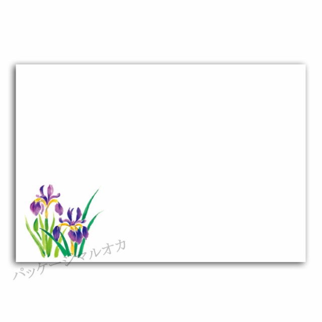 テーブルマット あやめ No.111 上質紙 5月〜6月 1000枚