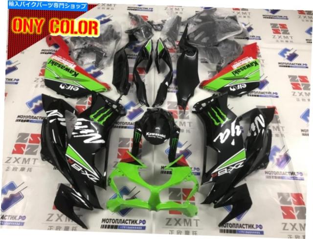 フェアリング フェZX6R 636 2019 - 2020、ABSインクショション全