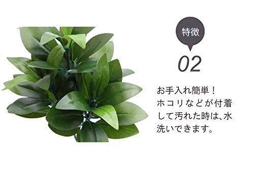 送料無料 まるで本物 創価学会 会館仕様 専用箱入り おしきみ 国産品質 光触媒 造花 28 5cm 1本の通販はau Pay マーケット Sflow