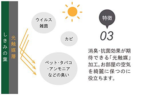 送料無料 まるで本物 創価学会 会館仕様 専用箱入り おしきみ 国産品質 光触媒 造花 28 5cm 1本の通販はau Pay マーケット Sflow