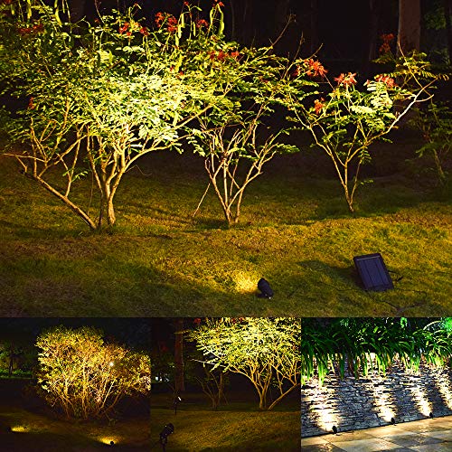 スポット ライト 2019