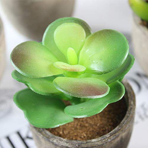 送料無料 Winkong 人工多肉植物 6点セットミニ 人工観葉植物 枯れない インテリア 人工観葉植物 フェイクグリーンの通販はau Pay マーケット Odd Eye
