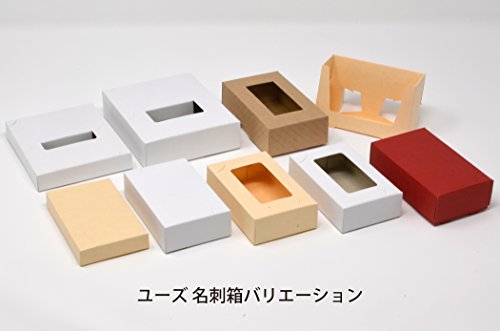 配送無料 カードスタンド 名刺箱 紙製 組立て式 ショップカード ポイントカード 用 100個セット