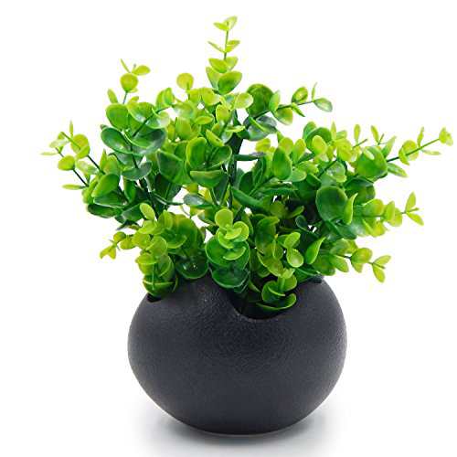 配送無料 Tossow 植木鉢 陶器鉢 卵形 多肉植物 サボテン鉢 ハーブ プランター容器 おしゃれ プレゼント ミニ ブラックの通販はau Pay マーケット マイハニーハント 配送無料 Tossow 植木鉢 陶器鉢 卵形 多肉植物 サボテン鉢 ハーブ プランター容器 おしゃれ プレゼント ミニ ブラックの通販はau Pay マーケット マイハニーハント