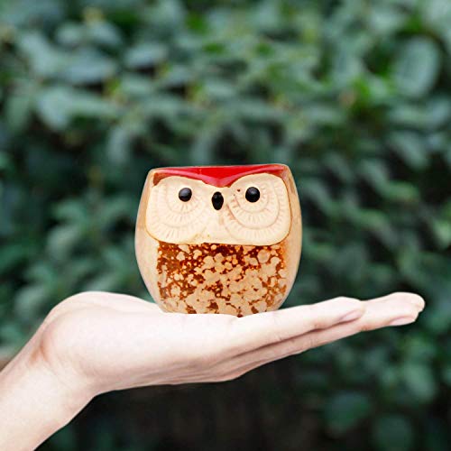 配送無料 T4u 6cm 陶器鉢 流れ釉 フクロウシリーズ 多肉植物 サボテン鉢 フラワーポット プランター容器 花鉢 竹トレイ付き フルセッの通販はau Pay マーケット マイハニーハント