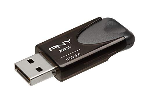 pny 256gb flash drive