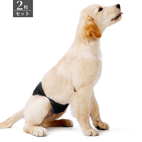マナーベルト マナーパンツ 犬 オス 男の子 マーキング 漏れにくい オシッコ対策 犬介護用 シニア犬 高齢犬 二枚セット ブラックm の通販はau Pay マーケット Enlarge マナーベルト マナーパンツ 犬 オス 男の子 マーキング 漏れにくい オシッコ対策 犬介護用 シニア犬 高齢犬 二枚セット ブラックm の通販はau Pay マーケット Enlarge