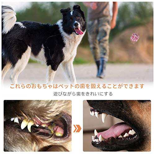 犬ロープおもちゃ 噛むおもちゃ 犬用玩具 4個セット 犬噛むおもちゃ ストレス発散 ムズムズ解消 清潔 歯磨き 丈夫 耐久性 小型犬 中型犬の通販はau Pay マーケット Enlarge