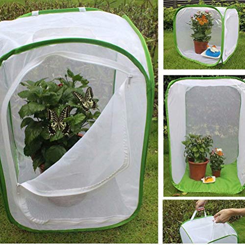 au pay マーケット