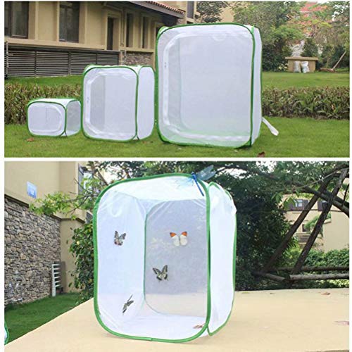 au pay マーケット