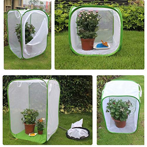 au pay マーケット