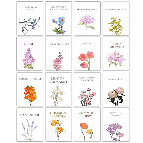 送料無料64枚の ミニカード 感謝カード 花の柄 メッセージカード 感謝祭 感謝の日 母の日 記念日 結婚式 卒業式 友達 家族 職場 感謝の気の通販はau Pay マーケット セイントセカンド