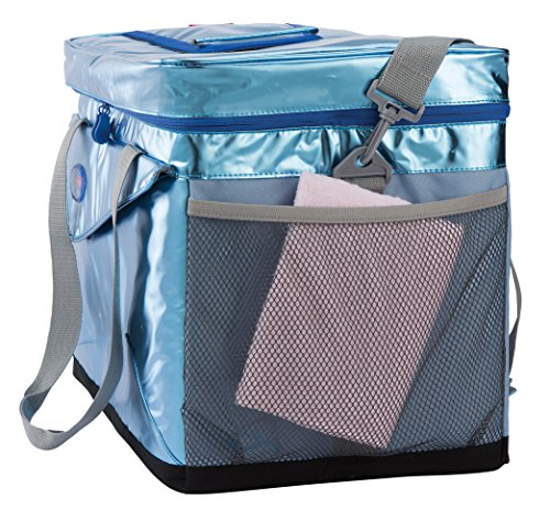 Coleman(コールマン) クーラーボックス エクストリームアイスクーラー 15L ソフトクーラー
