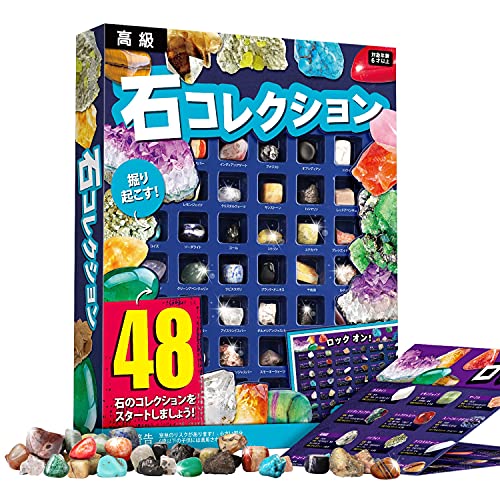 おもちゃの石 sour1507.jpg