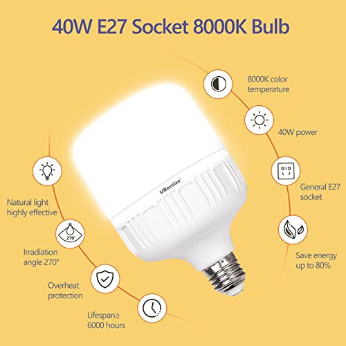 UBeesize ソフトボックス 写真照明キット 70cmｘ50cm 連続照明キット 40W E27ソケット 6500K 電球2個付き プロフェッショナルフォトスタ