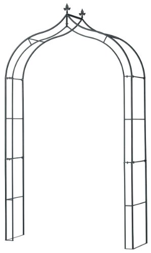 タカショー ローズアーチ GSTR-AR01 幅131cm*奥行40cm*高さ250cmの通販は 15,207円